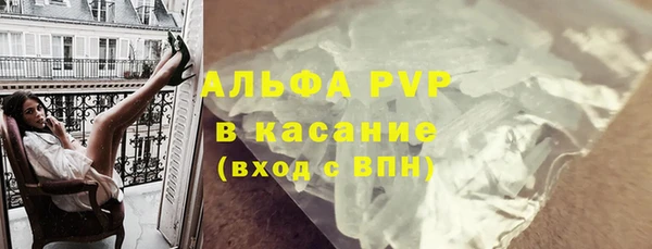 стаф Баксан