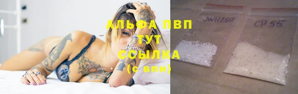 PSILOCYBIN Балахна