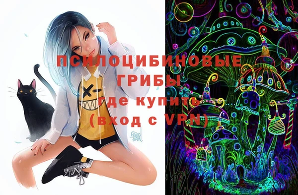 PSILOCYBIN Балахна