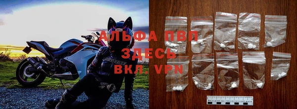 стаф Баксан