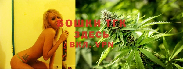 PSILOCYBIN Балахна