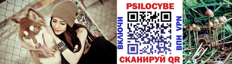 закладка  hydra онион  Галлюциногенные грибы Magic Shrooms  Ессентуки 