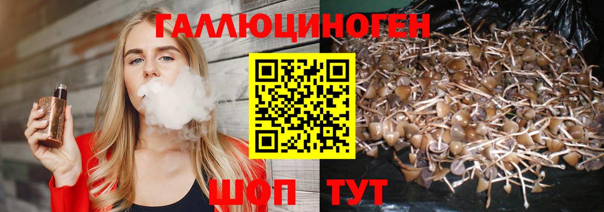 Галлюциногенные грибы MAGIC MUSHROOMS Ессентуки